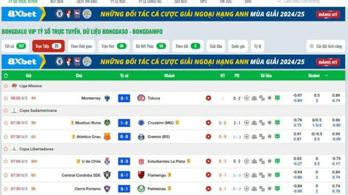 29-bongdainfo-3