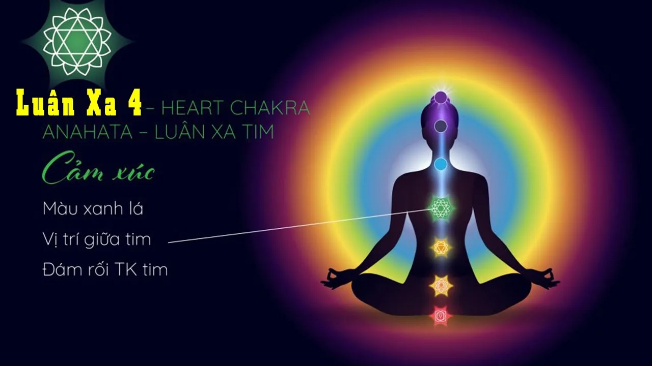 luan-xa-la-gi-y-nghia-cua-7-luan-xa-tren-co-the-a7