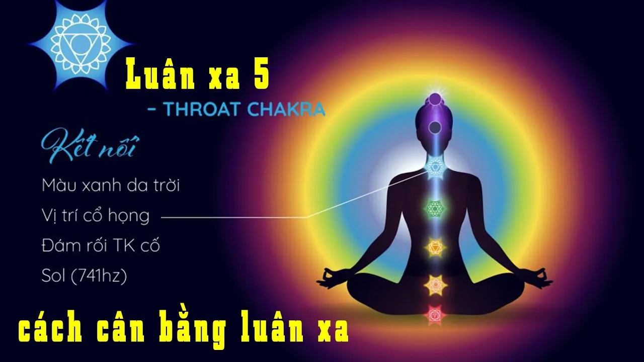 luan-xa-la-gi-y-nghia-cua-7-luan-xa-tren-co-the-c