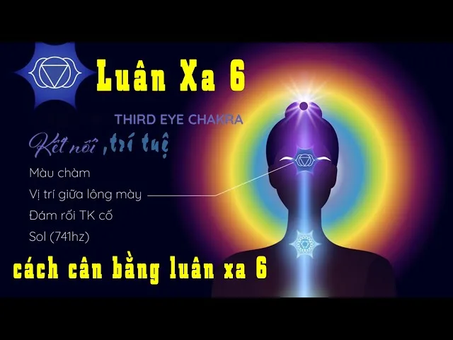 luan-xa-la-gi-y-nghia-cua-7-luan-xa-tren-co-the-b